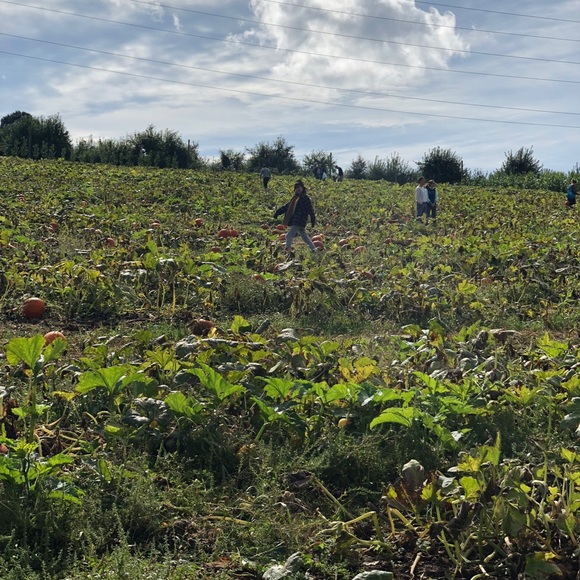 Meet your Posher, Tanya - Picture 1 of 1